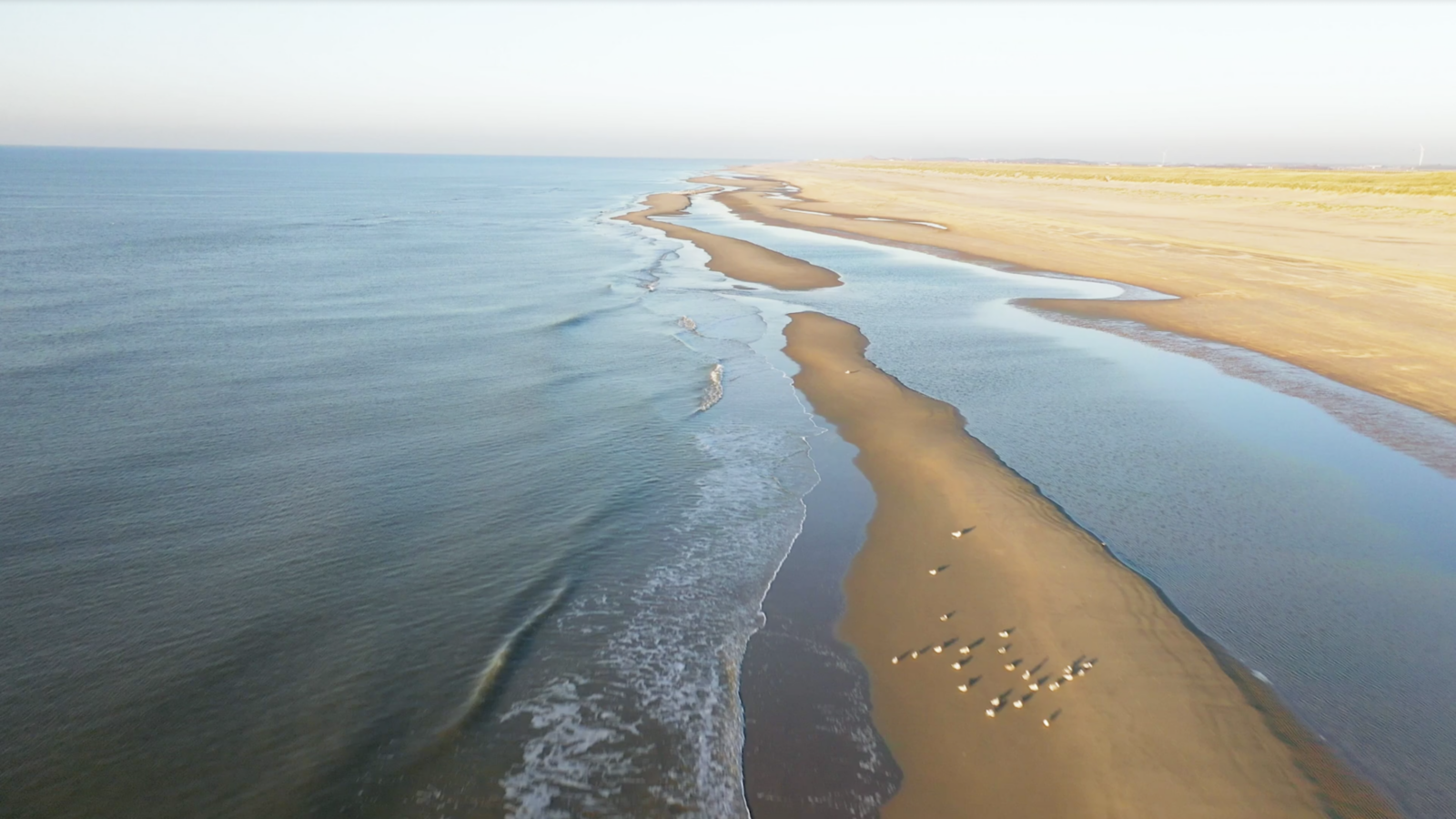 Dutch coast line