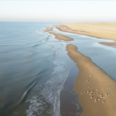 Dutch coast line