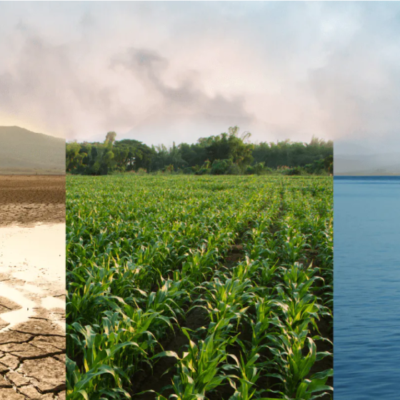 Saline Water and Food System