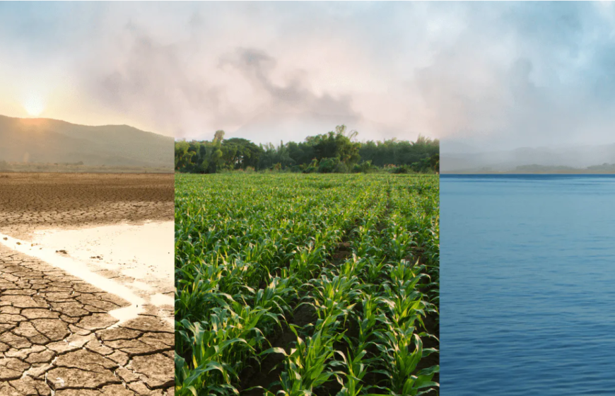 Saline Water and Food System