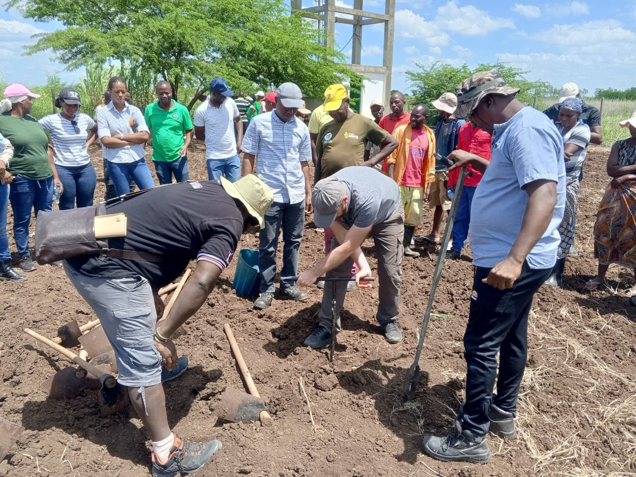 Seed money project Mozambique