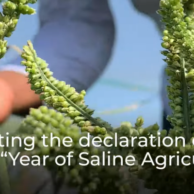 Promoting 2028 as the year of saline Agriculture