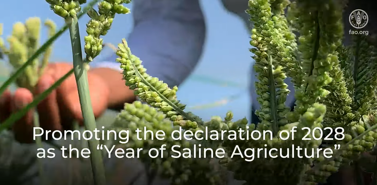 Promoting 2028 as the year of saline Agriculture