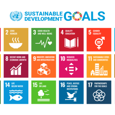 Sustainable Development Goals. Source United Nations